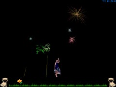 Fireworks Saver Screenshot