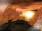 Autumn Sunset - Animated Wallpaper 1.0