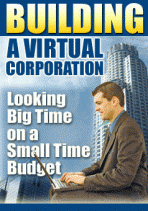 Building A Virtual Corporation 1.0