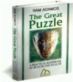 The Great Puzzle 0100
