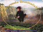 Formula Broomstick 1.3