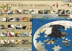 Audubon Birds of America Jigsaw Puzzle 1.10