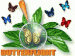 ButterFlight 2.2