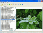 Neomesh Image Converter 2.3