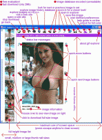 Internet GIF Explorer (Uncut Edition) 3.1