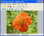 AD Picture Viewer 3.9.1