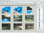 Adobe Photoshop Album 3.2 Starter Edition