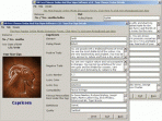 MB Free Chinese Zodiac and Star Signs Software 1.4