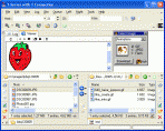 AceFTP 3 Freeware 3.80.2