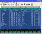 NetTerm (32-bit) 4.2e