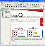 pageQ Web Page Player 3.0