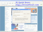 IE Quick Saver 1.4