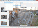 VintaSoft Imaging .NET SDK 4.3