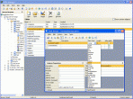 MSDE Manager 4.01