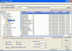 File Renamer 2005 5.0