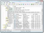 EF Multi File Renamer 1.00