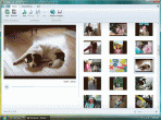 Windows Live Photo Gallery and Movie Maker 2011 (15.4.3502.0922)