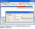 Xceed Input Validator for .NET 1.0