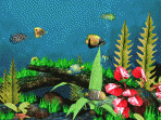 Fish Aquarium 3D Screensaver 1.2
