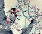 Antique Japanese Bird Prints 1.0