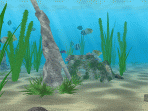 Water Life 2.9.5