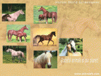 Horses World Screensaver 1.0