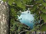 Forest World 3D Screensaver 1.01.2