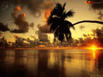 Sunset On The Beach Screensaver 1.0