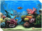 Living Marine Aquarium 2.0