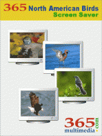 365 North American Birds Screen Saver 2.1