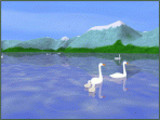 Swan Lake Screensaver 1.0.0