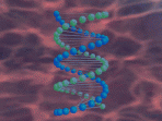 DNA Helix ScreenSaver 1.0