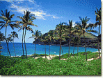 Hawaiian Vacation 